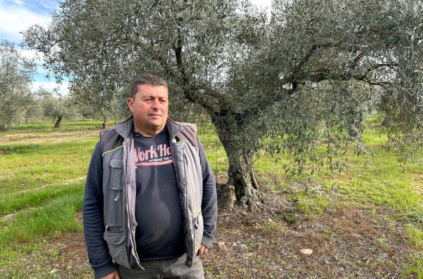 Bild 1 von 2: Seit die Olivenölpreise 2023 stark angestiegen sind, stehlen Diebe nachts Tausende Kilo Oliven. Antonio Basa ist sehr verärgert darüber.