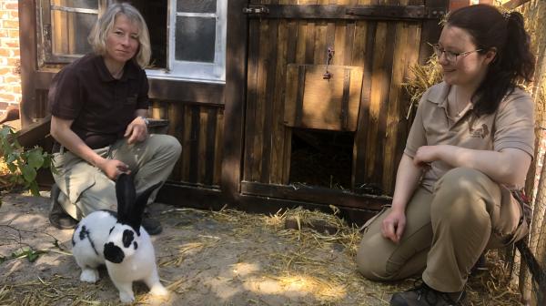 Bild 1 von 3: Tischler, Gärtner, Maler, Pfleger - alle packen an: Seit vier Wochen hat der Zoo vier neue Bewohner, Deutsche Riesenschecken. Bei der Abnahme des Kaninchenparadieses entdeckt Tierpflegerin Manja Fuhrmann, dass die Tischler etwas Wichtiges vergessen haben. Verletzungsgefahr für die Riesenschecken!