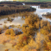 Fluss ohne Grenzen - Auenwildnis an der March