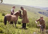 Der Doktor und das liebe Vieh