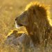 Abenteuer Wildnis