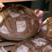 Lust auf Brot