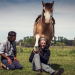 Archaic Festivals - Gaucho-Rodeo in Argentinien