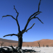 Afrikas Naturparadiese