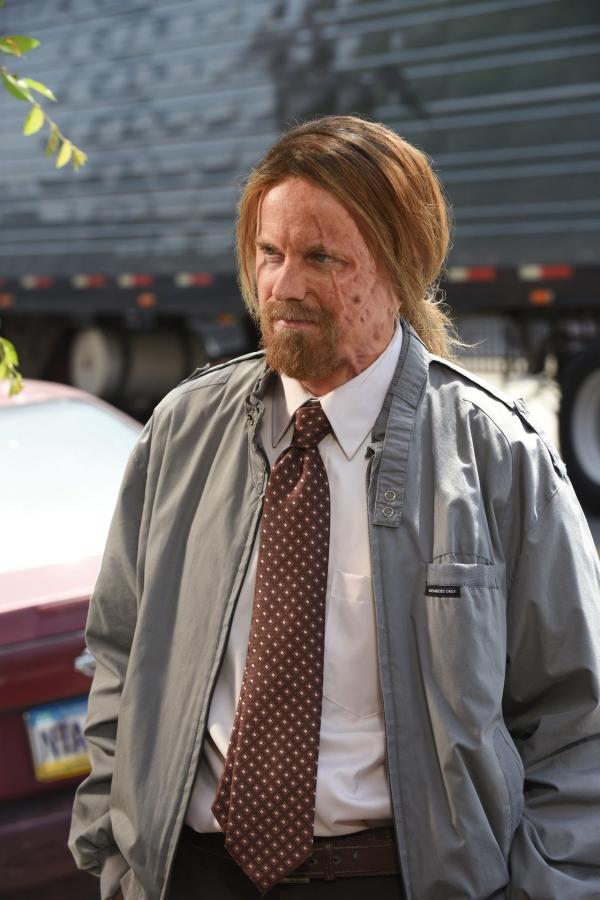 Bild 1 von 8: Cricket (David Hornsby)