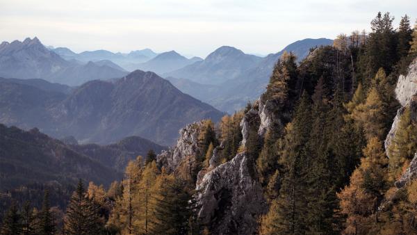 Bild 1 von 4: .