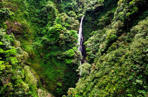Bild 1 von 4: Ein Wasserfall mitten im Regenwald Zentralamerikas: Besonders in Costa Rica gibt es aufgrund des Klimas und der Vulkanlandschaft viele dieser tropischen Wasserfälle.