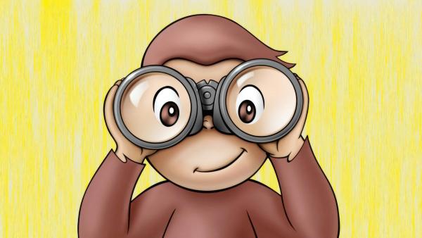 Bild 1 von 4: Coco, der neugierige Affe