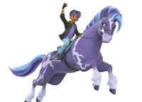 Unicorn Academy