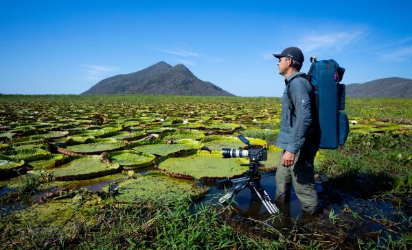Bild 1 von 11: Kameramann Joao Paulo Krajewski filmt Riesenseerosen im Herzen des Pantanal-Feuchtgebietes in Brasilien.