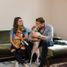 Der V.I.P. Hundeprofi
