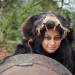 Angriff der Wikinger
