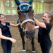 #WIR - Freundschaft grenzenlos