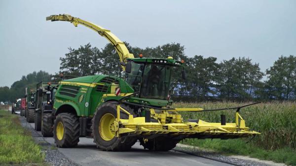 Bild 1 von 3: Ein Maishäcksler im Einsatz. Große und leistungsstarke Landmaschinen wie diese sind aus der heutigen Agrarwirtschaft nicht mehr wegzudenken.