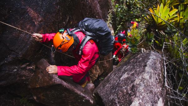 Bild 1 von 11: Abstieg in die Unterwelt: Durch einen Canyon klettert der Bioakustiker Michel André mit dem Rest des Teams bis zum Eingang des Höhlensystems hinab. Die Felsen sind steil und rutschig, jeder Schritt verlangt Vorsicht: Im Notfall wäre das Team hier auf sich allein gestellt.