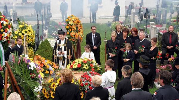 Bild 1 von 1: .