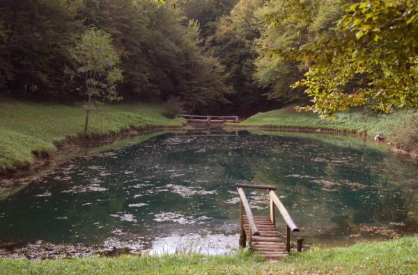 Bild 1 von 4: Unter der bezaubernden Feder von Ivana Brli?-Ma?urani? offenbart sich Kroatien als ein fantastisches Land. Zu Beginn des 20. Jahrhunderts erweist sich ihre Rolle als Mutter als Einladung zum Schreiben von Märchen für Kinder.