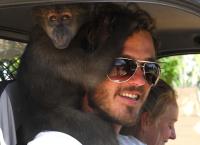 Das Waisenhaus für wilde Tiere