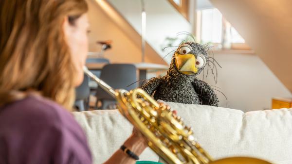 Bild 1 von 4: Musik zum Tanzen, Jagen und Käsediebe erschrecken. Rudi (Lennart Morgenstern) staunt, was das Horn von Sarah Willis alles kann.
