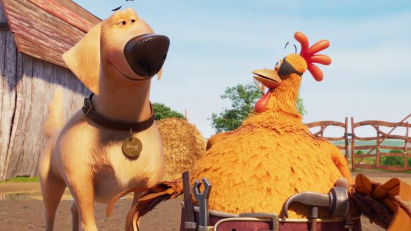 Bild 1 von 2: Hund Sam hat ein Auge auf Huhn Flo geworfen, nachdem er eine Liebesbotschaft von Hündin Bertha falsch verstanden hat.