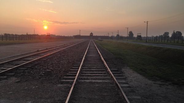 Bild 1 von 15: Auschwitz Birkenau - Gleise, die in den Tod führten.