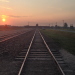 Ein Tag in Auschwitz