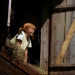 Pippi außer Rand und Band