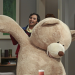 The Big Bang Theory