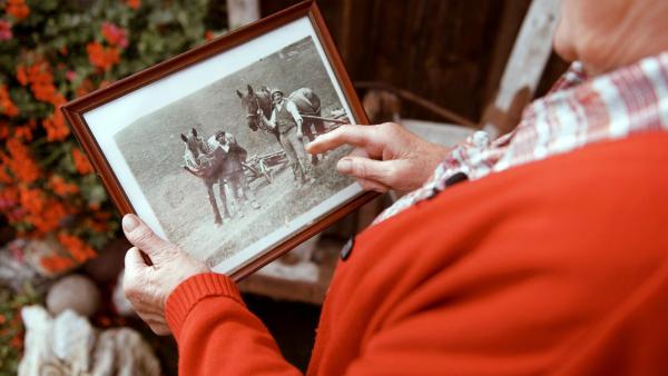Bild 1 von 11: Im Bild: Irmgard Rabitsch zeigt ein historisches Foto von bäuerlichen Arbeiten ihrer Familie.