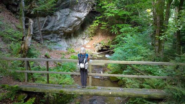 Bild 1 von 18: .