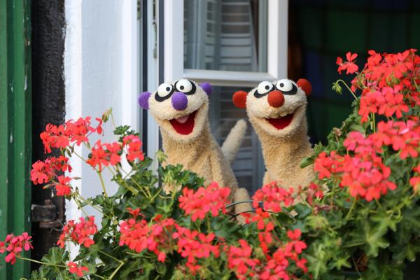 Bild 1 von 4: Jan & Henry machen Urlaub auf dem Bauernhof