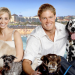 Bild 12