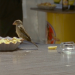 Abenteuer Wildnis
