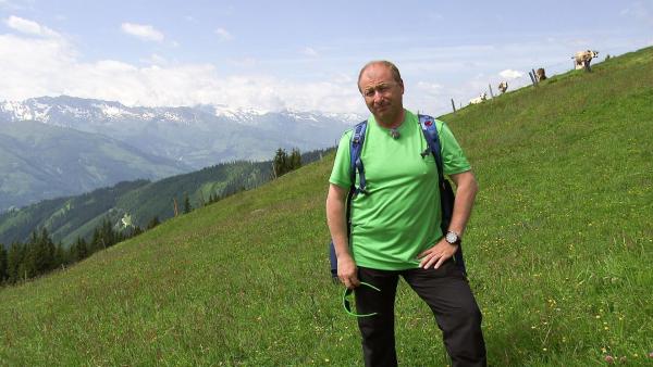 Bild 1 von 5: Im Bild: Harry Prünster.