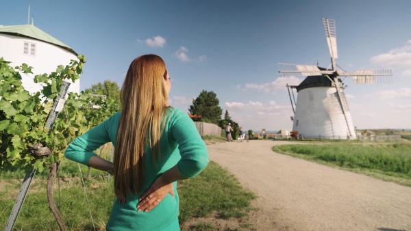 Bild 1 von 12: Im Bild: Sasa Schwarzjirg - Retzer Windmühle.