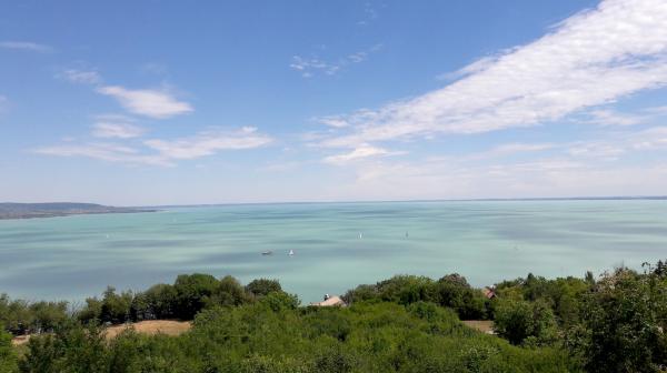 Bild 1 von 1: 