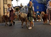 Inn - Der grüne Fluss der Alpen