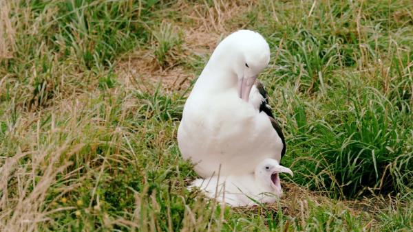 Bild 1 von 4: .