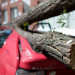 Das Jahrhundertgewitter - Als Ela an Pfingsten durchs Land fegte