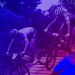 Race Bikes