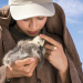 Der Junge und die Wildgänse