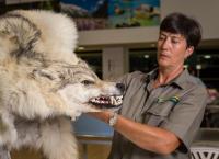 Border Patrol Neuseeland