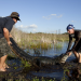Gator Boys