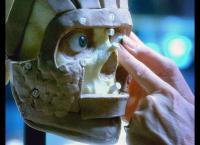 CSI: Den Tätern auf der Spur