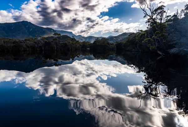 Bild 1 von 12: Regenwasser sickert durch die torfigen Böden von Bathurst Harbour in Tasmanien und reichert die Flüsse mit schwarz-rötlichen Tanninen an.