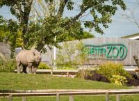 Zoo und so - Tierisch wild!