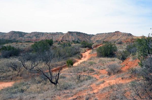Bild 1 von 3: Die unendlichen Weiten der texanischen Prärie waren eine wichtige Inspirationsquelle für die Malerin Georgia O?Keeffe. Sie verliebte sich sofort in diesen Ozean aus Licht und Farben.