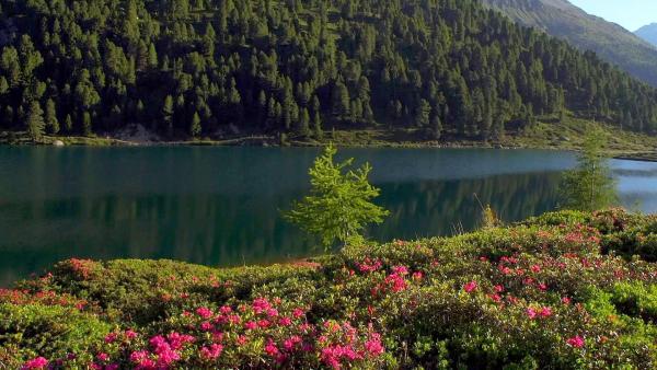 Bild 1 von 14: Im Bild: Staller Sattel Obersee Osttirol.