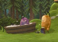 Kiwi & Strit