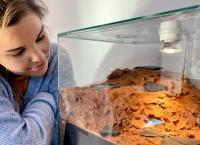 Anna und die Haustiere